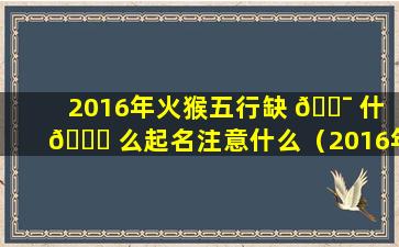 2016年火猴五行缺 🐯 什 🐅 么起名注意什么（2016年火猴五行缺什么起名 注意什么）